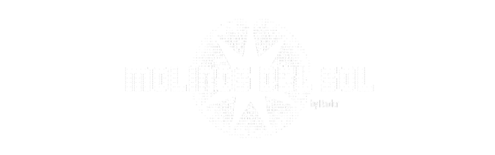 logo-molinos-del-sol-1000px-negativ