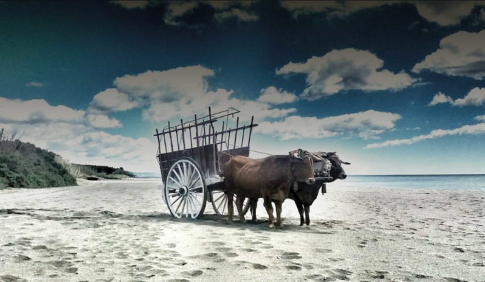 molinos-del-sol-torros